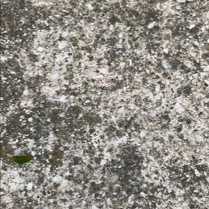 Meet your Posher, Randy